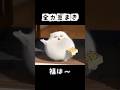 全力豆まき #shorts #猫アニメ #猫 #節分