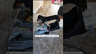 Dachshund Weekend Activities