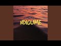 Ndigume