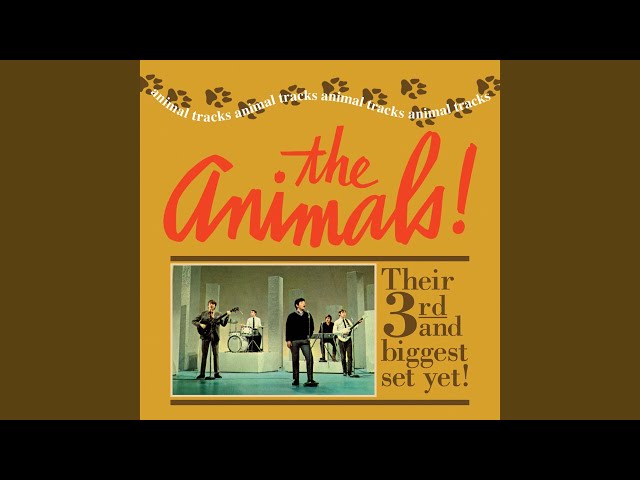Eric Burdon & the Animals - It's My Life