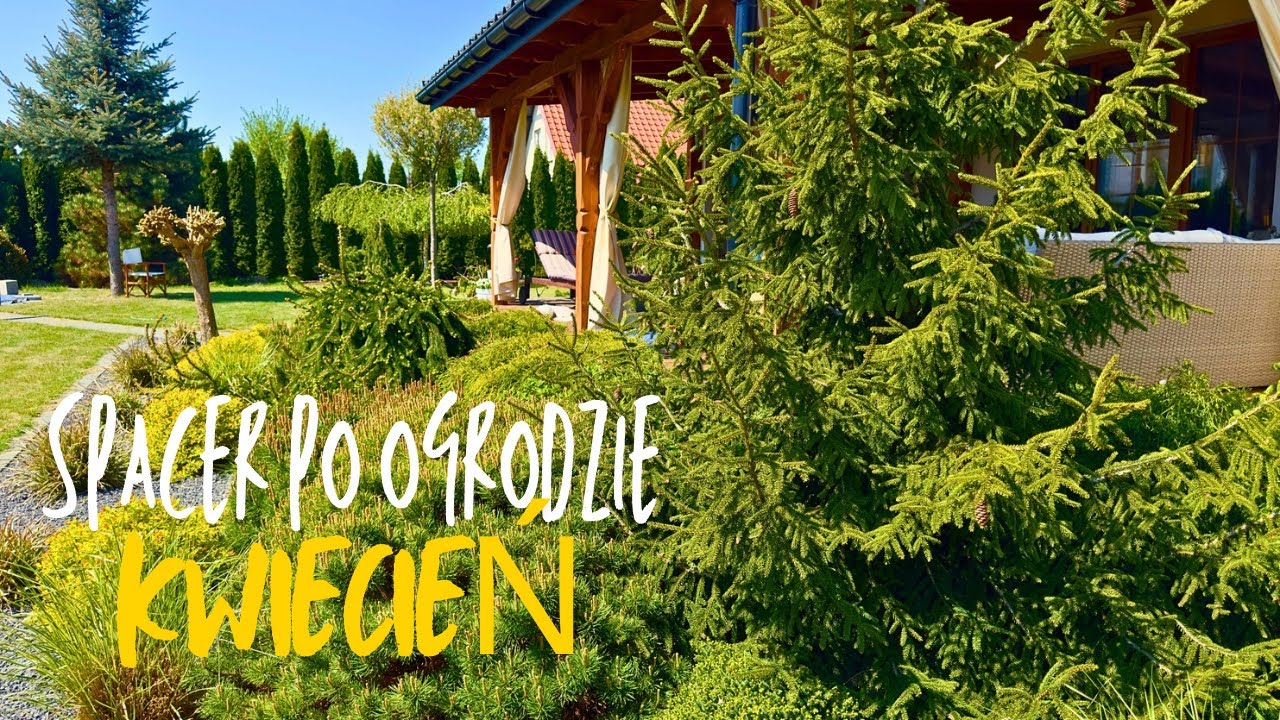 Spacer po Ogrodzie Rabaty, Drzewa, Krzewy - Ogród w Kwietniu