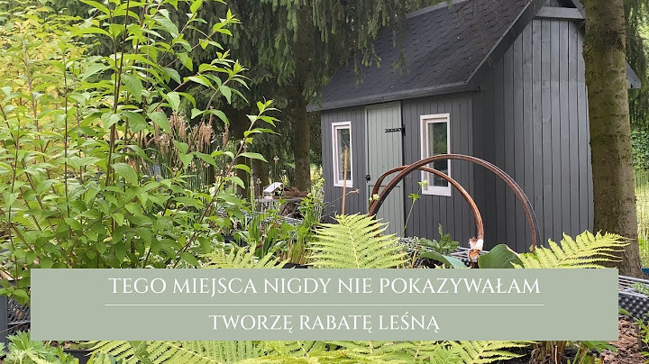 This is the first time I've shown this place | forest flowerbed | plants for partial shade