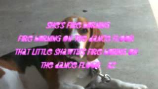 somebody call 911 lyrics