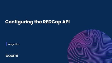 De REDCap API configureren