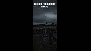 Berk Baysal - Yanıyor Bak Gönlüm (Tekin Tezcan Cover)