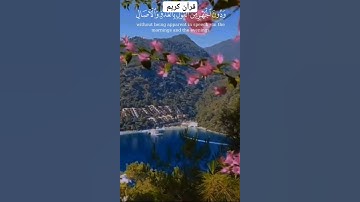 ✍️اللهم اجعل القرآن الكريم ربيع قلوبنا ونور صدورنا وجلاء همومنا وذهاب غمنا 🤲🤲🤲🌹❤️🌹