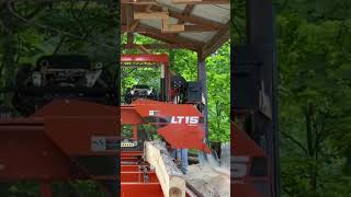 Sawing Third Slab From a small crooked Poplar
