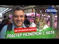 Мельбурн. Самый большой рынок Австралии. Музей современного искусства Хэйде.