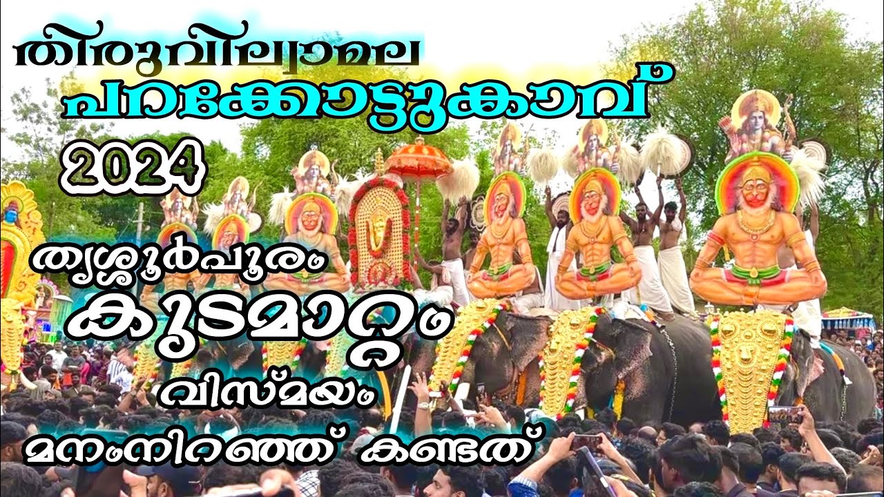 Parakkottukavu thalappoli Kudamatam 2024 🔥#trending #youtubefeed #aana #youtubevideo #sajeevsethu