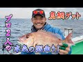 【田淵プロの真鯛授業！】幻の魚が釣りあがる！？マダイ対決！後編