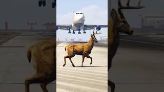 A Wild Deer Suddenly Appears On Runway During Airbus Landing-Gta5