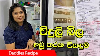 ශිතකරනයට යන විදුලිය අඩුකරගමු - How to save electricity in refrigerator