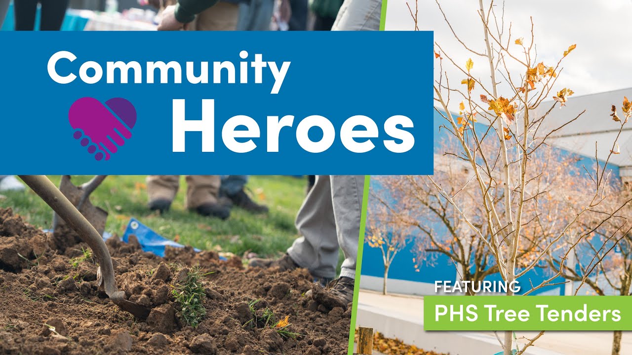 Planting Trees with PHS Tree Tenders | Community Heroes