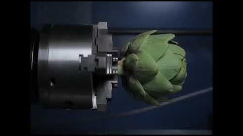 Fibonacci Zoetrope Artichoke