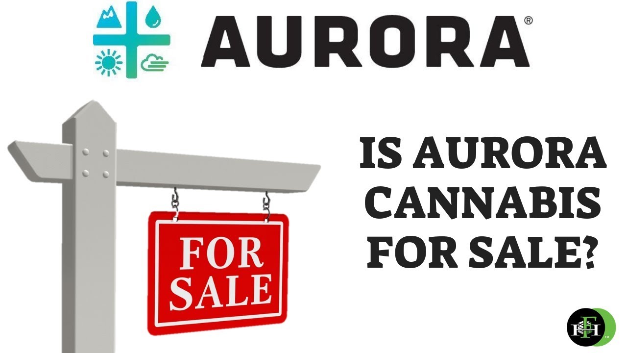 IS AURORA CANNABIS FOR SALE? (A MUST WATCH)