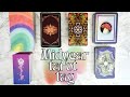 A midyear check in on my tarot collection (deck goblin edition) 🐳 #midyeartarottag VR