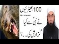 Most Painful What 100 Wolves Request to Nabi S.A.W..? Maulana Tariq Jame...