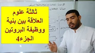العلاقة بين بنية ووظيفة البروتين (الجزء4)