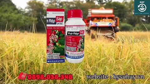 VUA RỆP SÁP 247EC – CHUYÊN GIA TRỪ RẦY RỆP Hotline: 0898.038.348