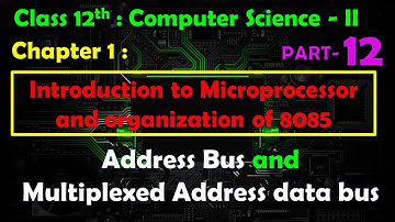 12th Comp. Sci. Paper - II : Chapter - 1 | 8085 microprocessor | Address Bus | Address/Data Bus