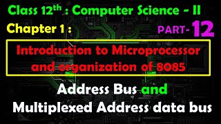 12th Comp. Sci. Paper - II : Chapter - 1 | 8085 microprocessor | Address Bus | Address/Data Bus
