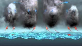 Hurricane Animation