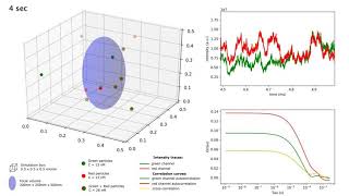 FCCS 3D simulations