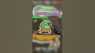 VALORANT in a nutshell #valorant #funnymoments #clips #shortsfeed #gaming