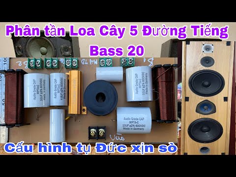 Video Phân tần loa cây bass 20. 5 đường tiếng loa bose cực... - youtube
