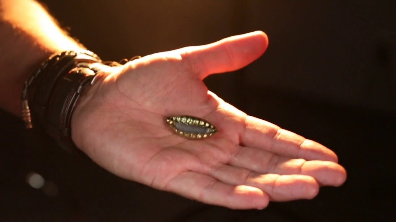 Gecko Pro System by Jim Rosenbaum ::Magicsoul