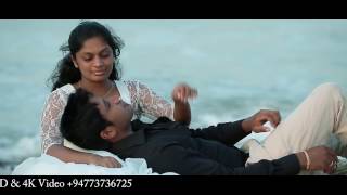 Wedding Outdoor song By Standard HD & 4K Video  943736725