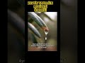 BAK SEN SU ZEYTİN YAPRAĞINA #shortsfeed #zeytinağacı #bilim #shortvideo #shorts