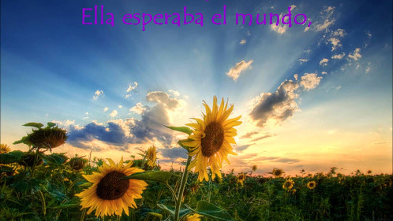 Coldplay - Paradise (español)