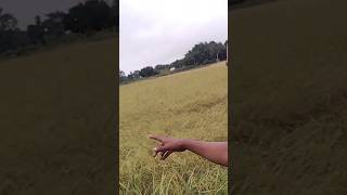 My Frist Vlog With My Friends