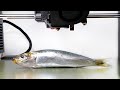 3Dプリンターで作った魚を食べると…