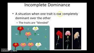 Complex Traits Lecture