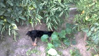 WP 20140717 003