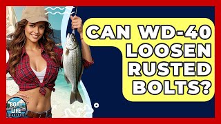 Can WD-40 Loosen Rusted Bolts? - Boat Life Masters