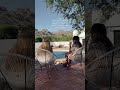 Hack to traveling for free with your bff #shorts
