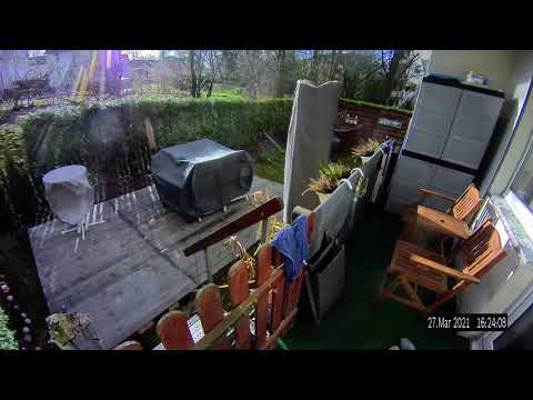 Bumblebee attacks security camera