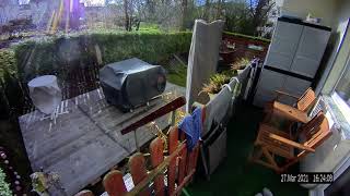 Bumblebee attacks security camera
