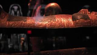 What Killed King Tut?