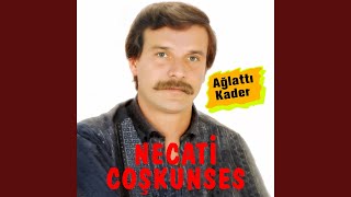 Candan Sevmeli