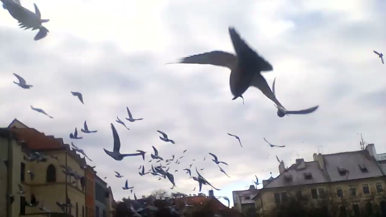 5.1.2026 výlet do Prahy (3/22)