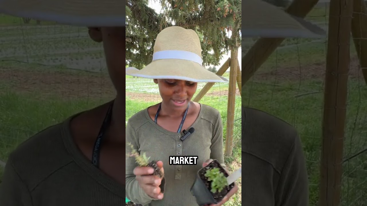 🪴 We’ve been busy potting up our plants—just for you! 🌿