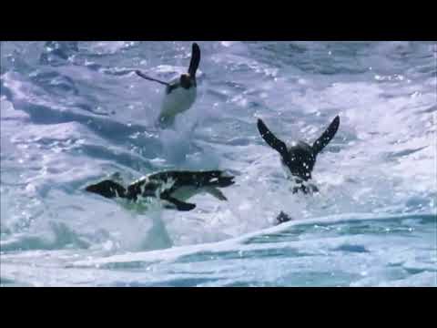 ჩვენსკენ