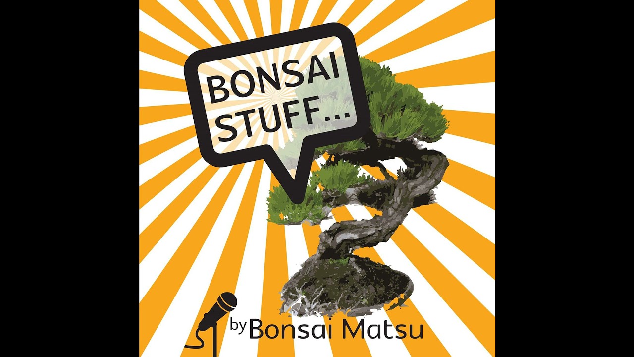 Season 6 Episode 51 - Bonsai Matsu Highlights, Podcast Favourites, My Bonsai World