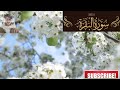 Tafheem ul Quran||Surah al Baqrah||ayat 21 to 29||Asaan Urdu||Tarjma Or Tafseer