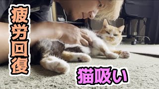 癒しを求めてまりもの元へ…