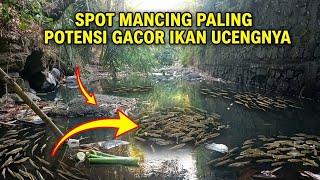 SPOT MANCING IKAN UCENG PALING POTENSI GACOR ⁉️ TIDAK TERDUGA SUNGAI SEPERTI INI GACOR BANGET 